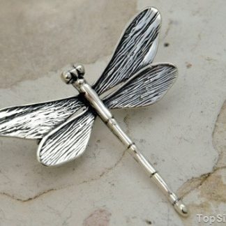 WAŻKA - srebrna broszka