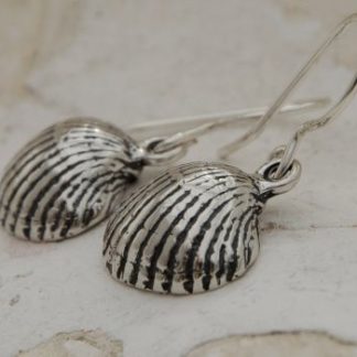 ADRIATIC - srebrne kolczyki muszelki