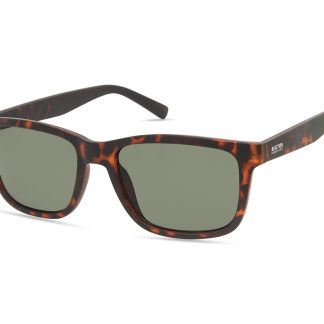 SUNGLASSES KENNETH COLE MAN KC1376-5552N (Lens/Bridge/Temple) 55/18/145 mm)