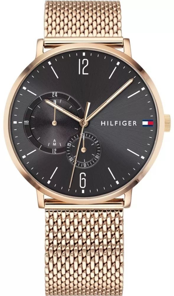 Męski Zegarek Tommy Hilfiger Brooklyn 1791506 – Złoto