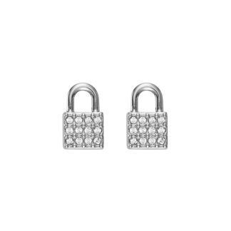 EARRINGS DKNY WOMAN 5520119 (1CM )
