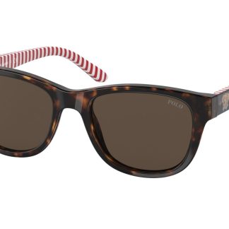 SUNGLASSES POLO RALPH LAUREN UNISEX PP9501-593673 (Lens/Bridge/Temple) 47/17/130 mm)